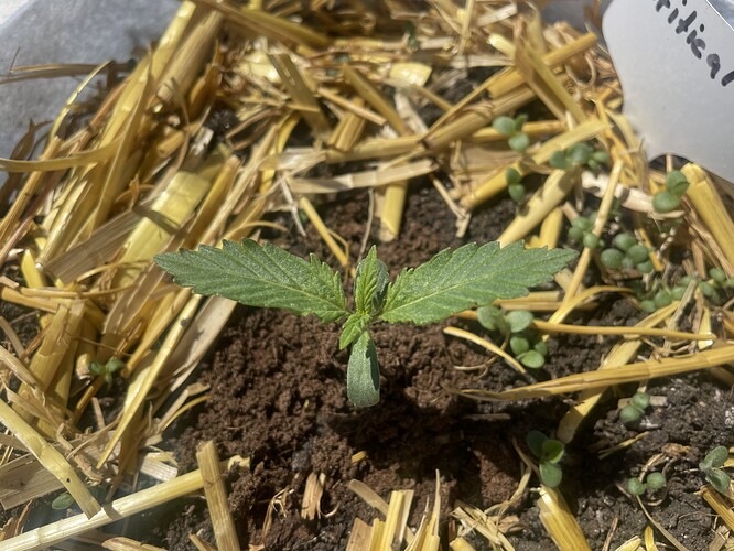 Growreport Bild 6