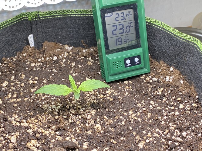 Growreport Bild 4