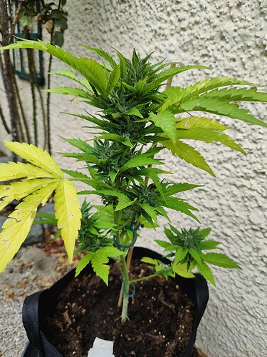 Growreport Bild 13