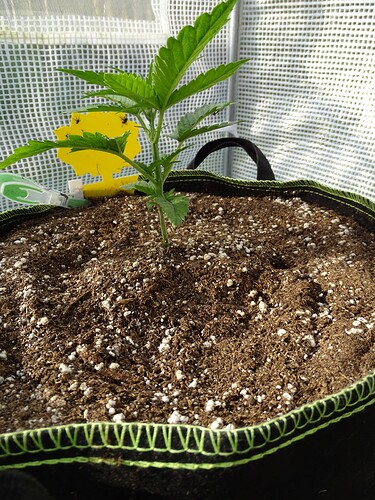 Growreport Bild 6