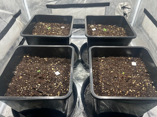 Foto 25.11.24, 16 58 27