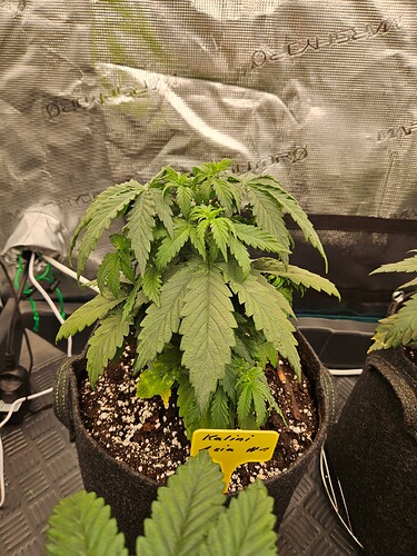 Growreport Bild 14