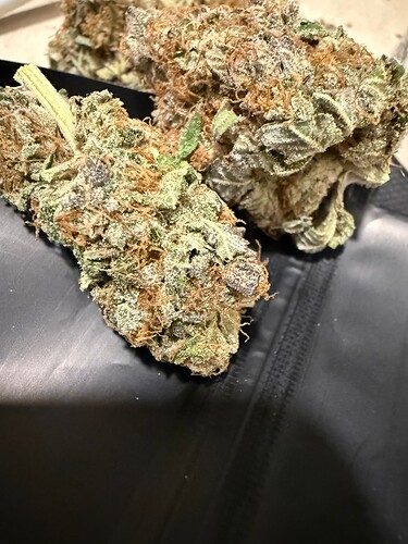Growreport Bild 2