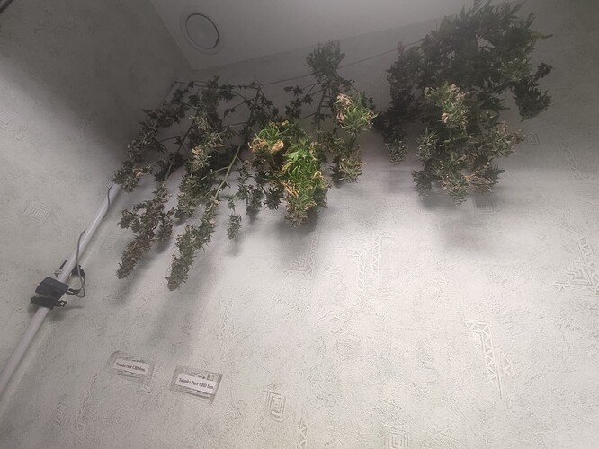 Growreport Bild 7