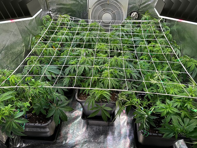 Growreport Bild 13