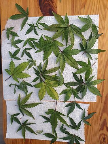 Growreport Bild 18