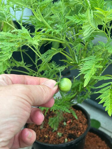Growreport Bild 15
