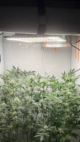 Growreport Bild 15