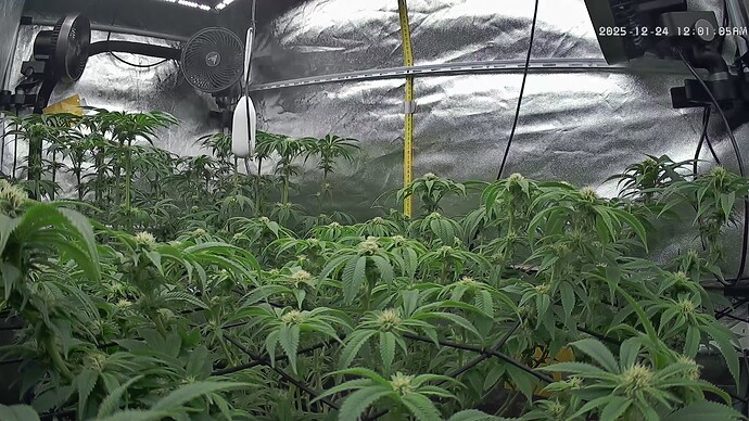 Growreport Bild 7