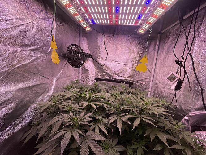 Growreport Bild 10