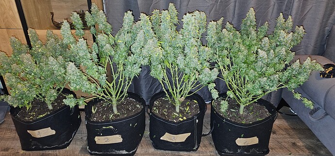 Growreport Bild 10