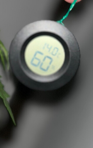 Growreport Bild 4