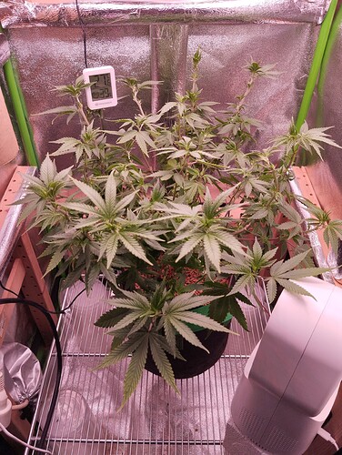Growreport Bild 9