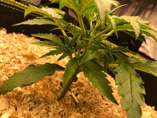 Growreport Bild 13