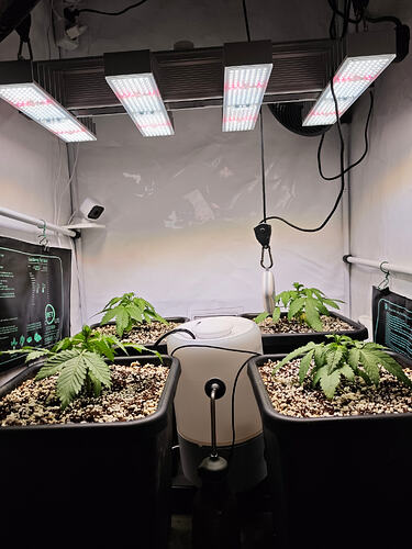 Growreport Bild 9