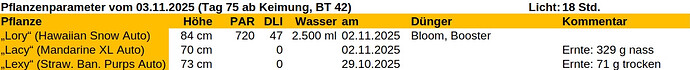 Growreport Bild 46