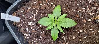 WhatsApp Image 2024-05-05 at 13.58.10 (1)