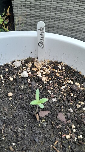 Growreport Bild 12