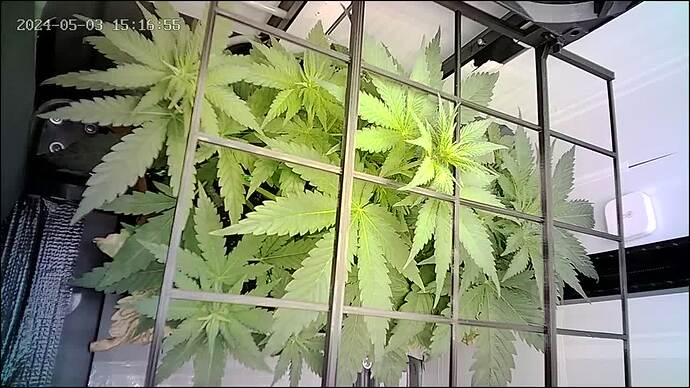 Growreport Bild 11