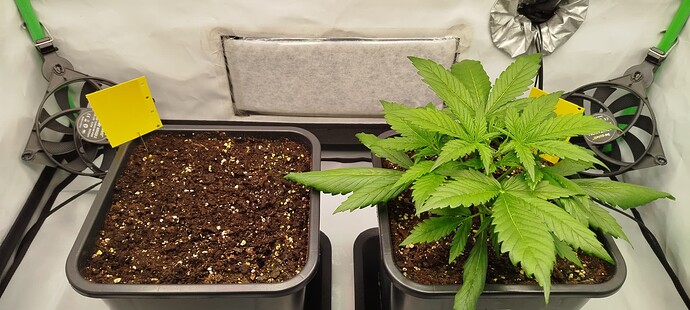 Growreport Bild 16