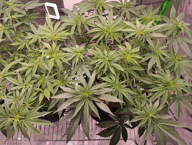 Growreport Bild 10