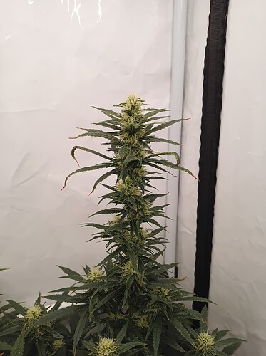 Growreport Bild 18