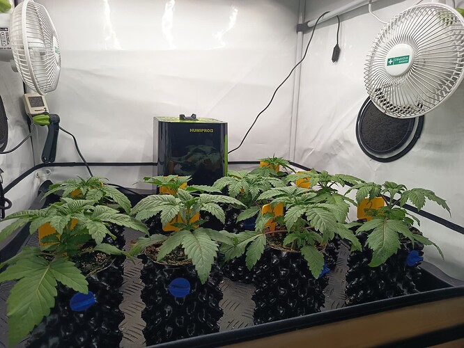 Growreport Bild 3