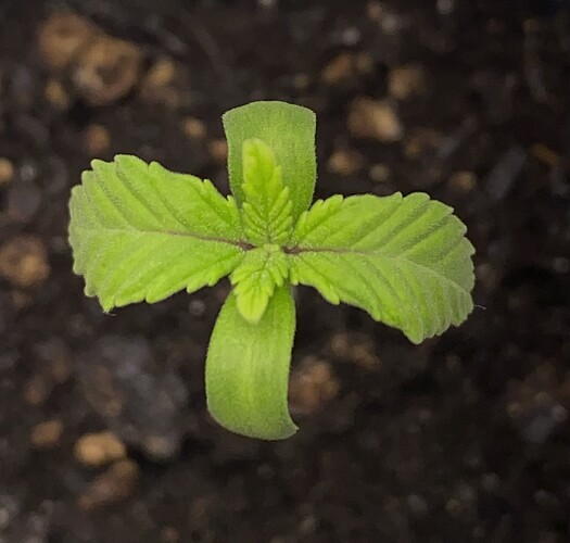 Growreport Bild 20