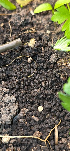 Growreport Bild 15