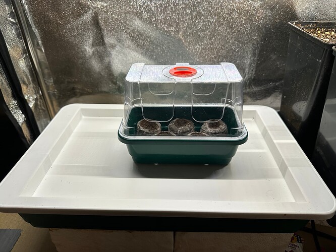 Growreport Bild 22