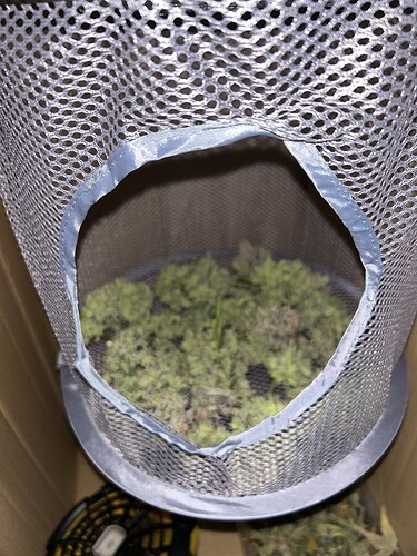 Growreport Bild 4