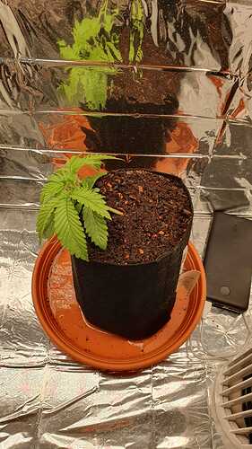 WhatsApp Image 2024-04-18 at 12.13.57