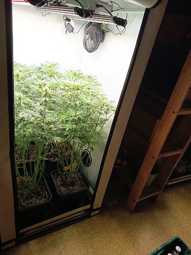 Growreport Bild 11
