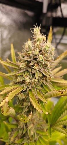 Growreport Bild 21