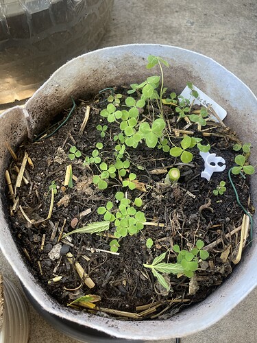 Growreport Bild 14