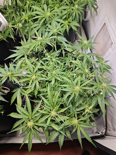 MVIMG_20251020_203850