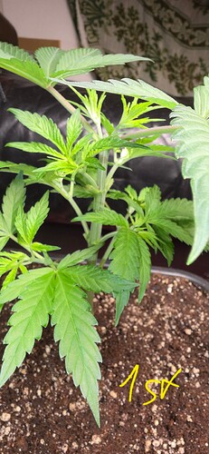 Growreport Bild 21