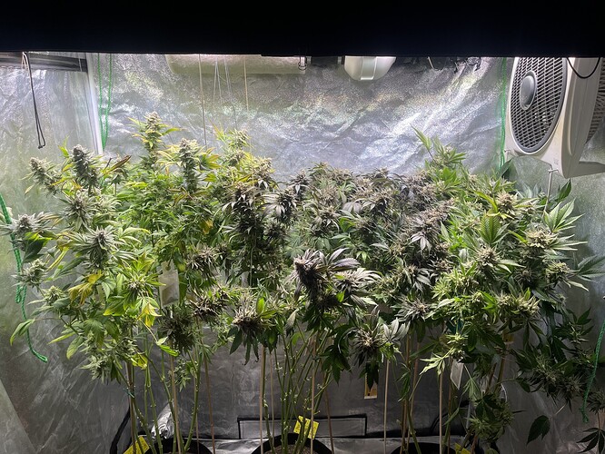 Growreport Bild 1
