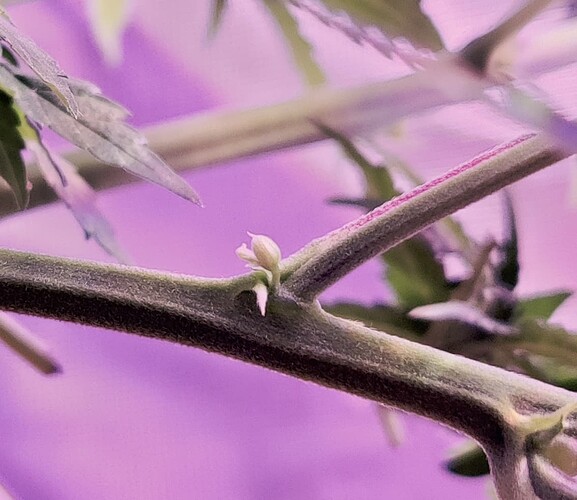 Growreport Bild 7