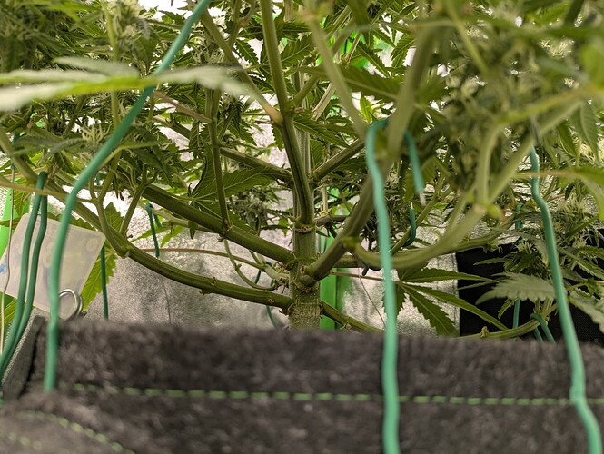 Growreport Bild 23