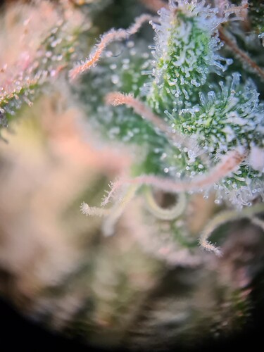 Growreport Bild 19
