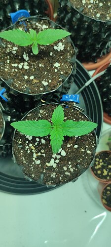 photo_5445148517438969840_y