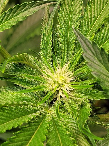 Growreport Bild 10