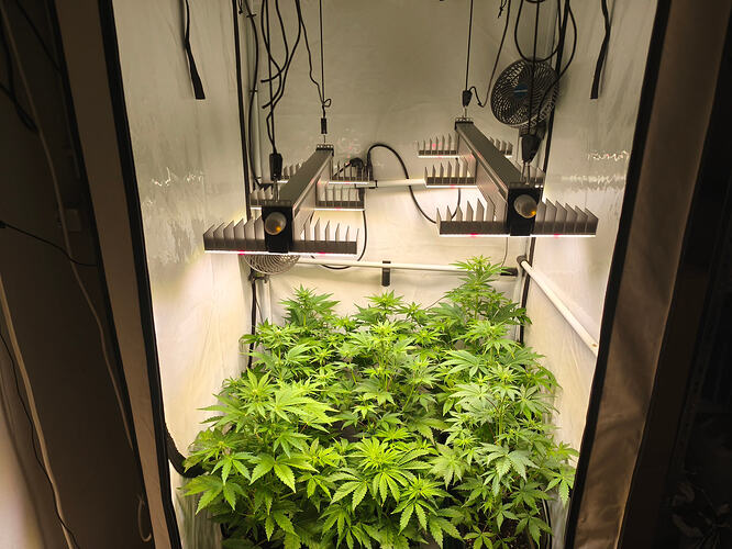 Growreport Bild 1