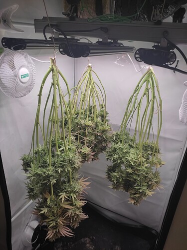 Growreport Bild 57