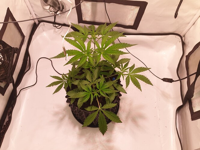 Growreport Bild 6