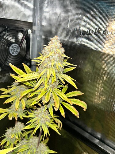 Growreport Bild 10