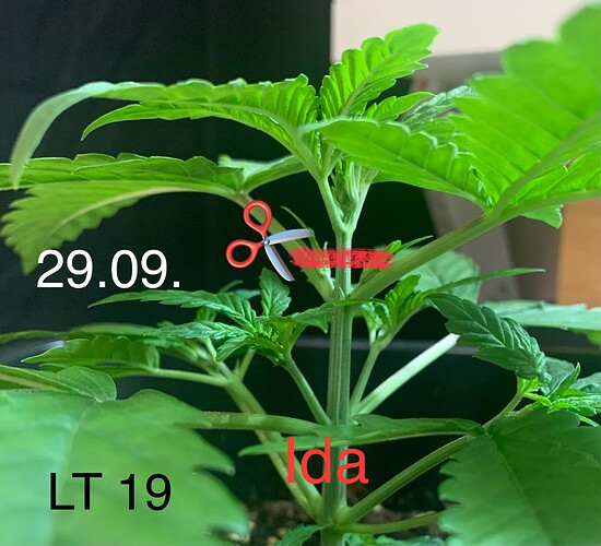Growreport Bild 1