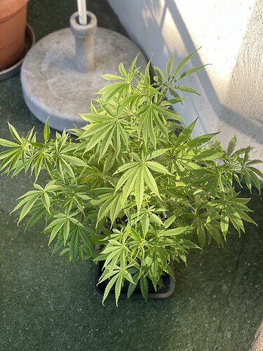 Growreport Bild 44
