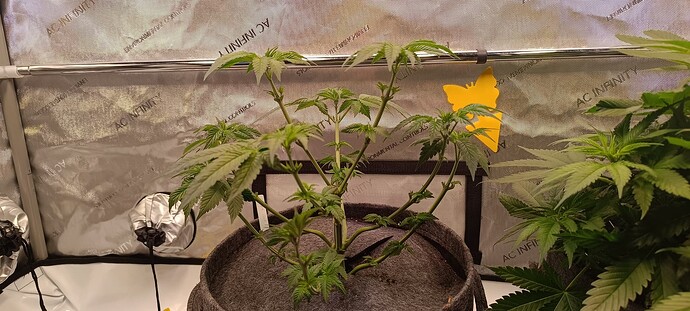 Growreport Bild 3